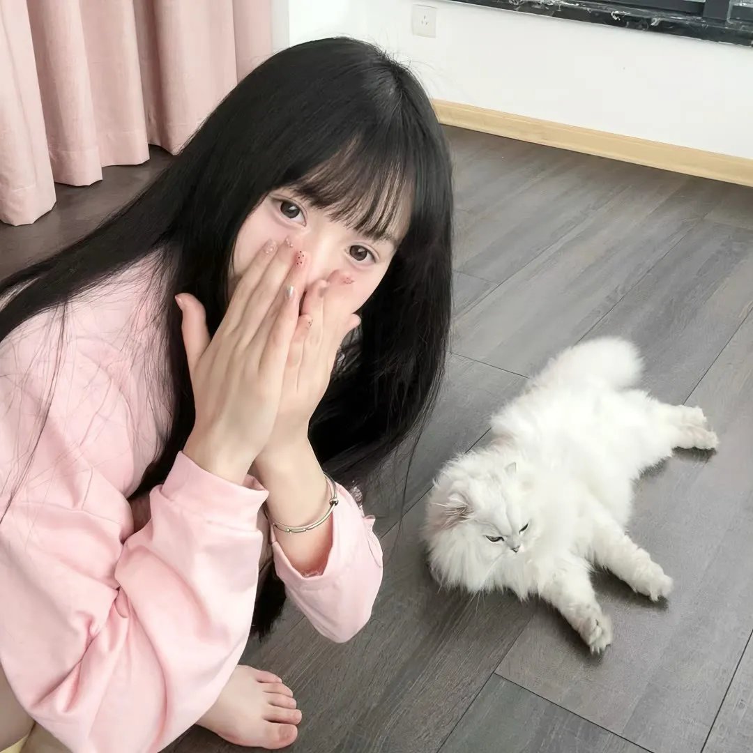恐龙凶面目