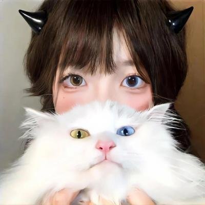 至爱梵高·星空之谜
